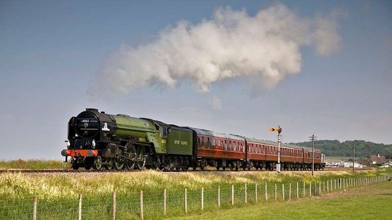 60163 Blue Anchor 8562 1